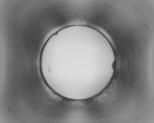 X0000110900861200907091414