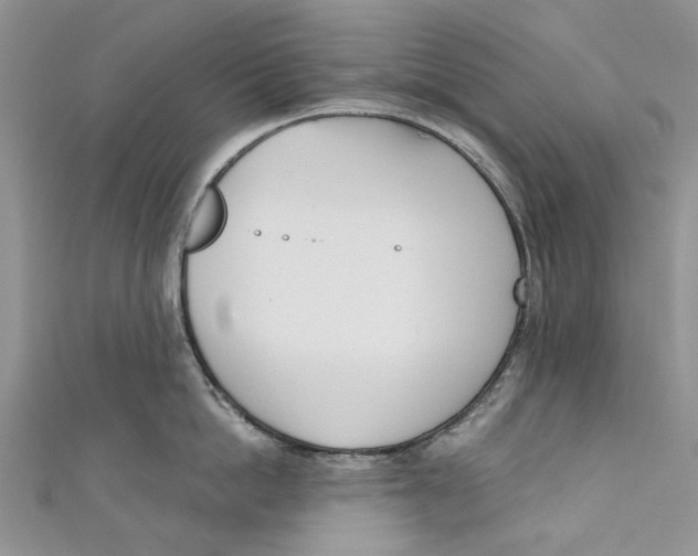 X0000110900862200907091414