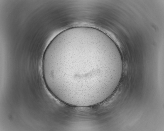 X0000110900863200907091414