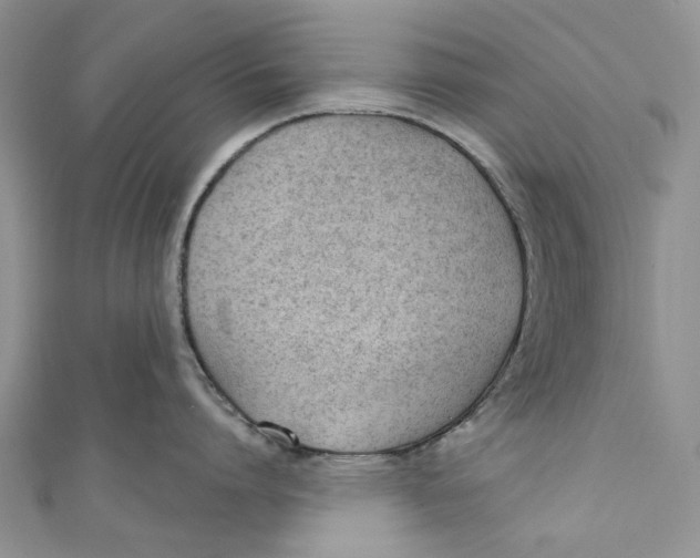 X0000110900864200907091414