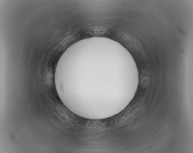 X0000110900866200907091414