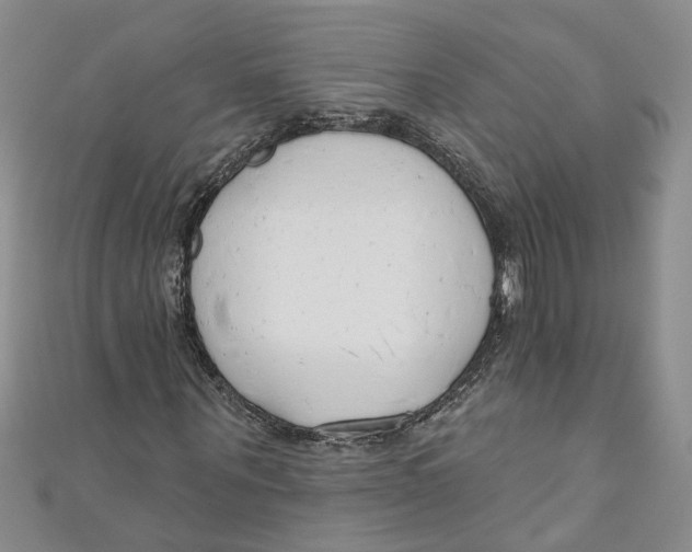 X0000110900867200907091414