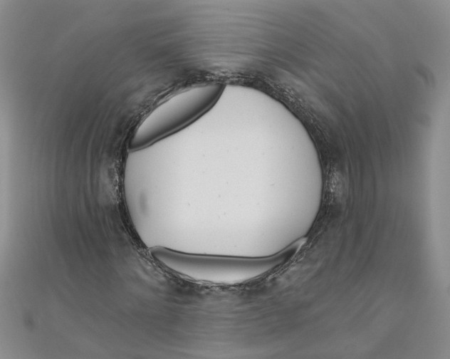 X0000110900868200907091414