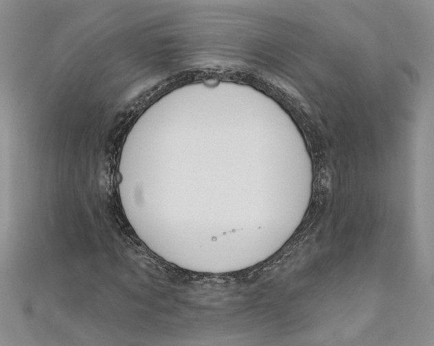 X0000110900869200907091414