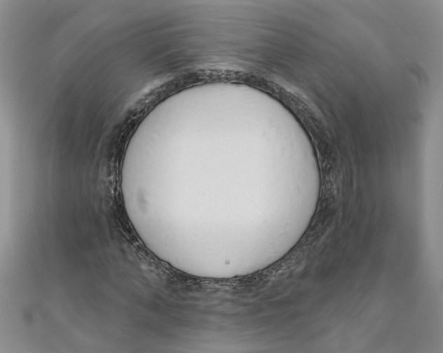 X0000110900870200907091413