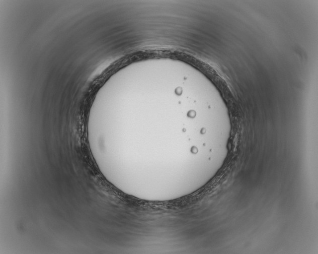 X0000110900871200907091413