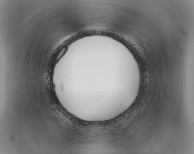 X0000110900872200907091413