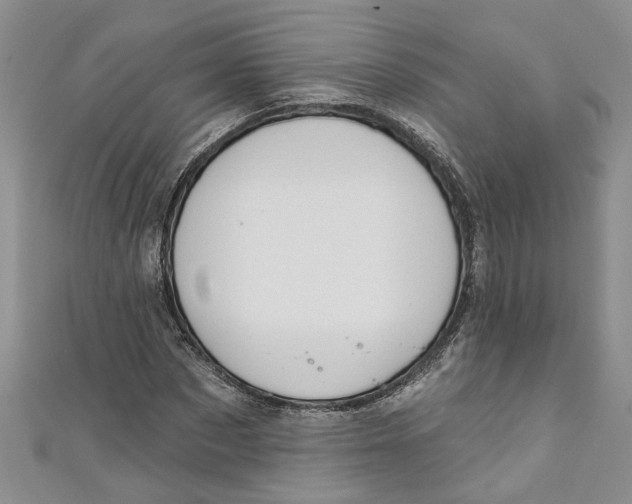 X0000110900873200907091413