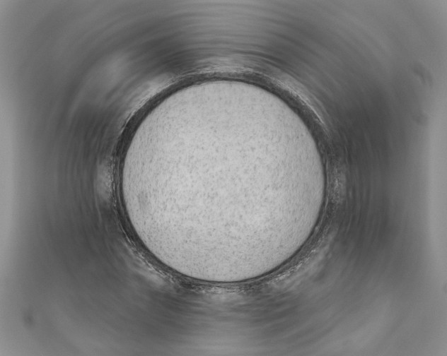 X0000110900874200907091413