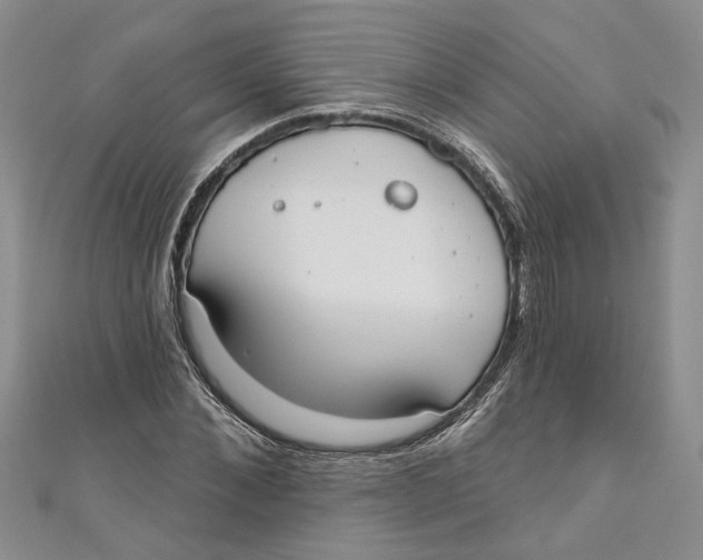 X0000110900876200907091413