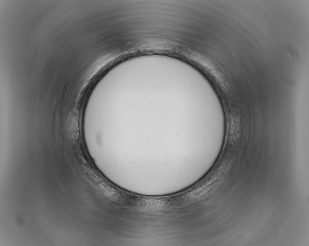 X0000110900878200907091413