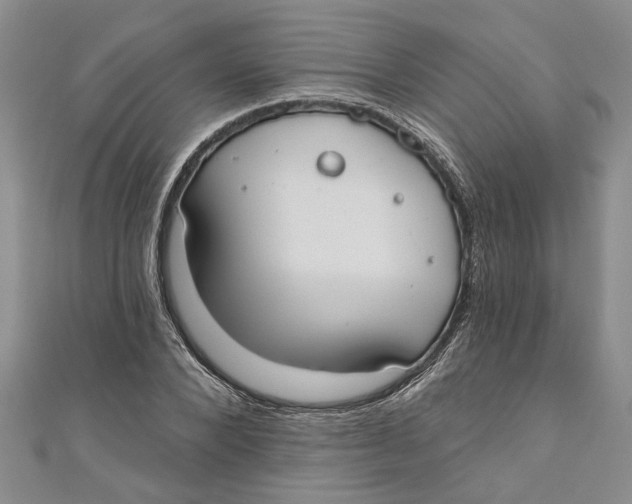 X0000110900880200907091413