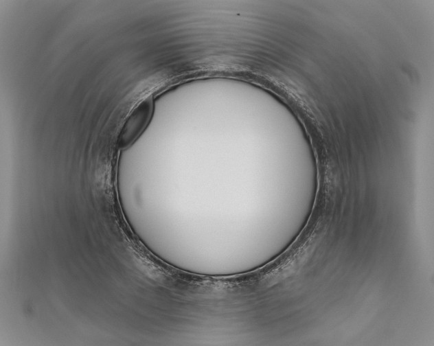 X0000110900881200907091413