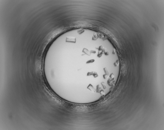 X0000110900882200907091413