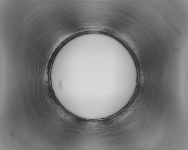 X0000110900883200907091413