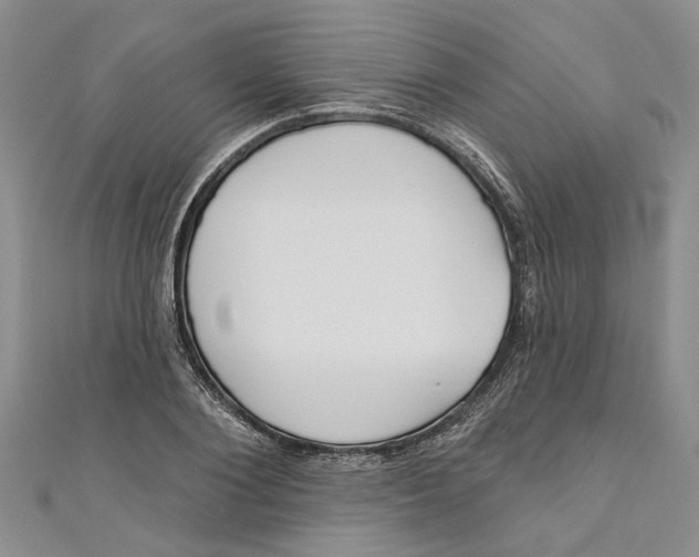 X0000110900884200907091413