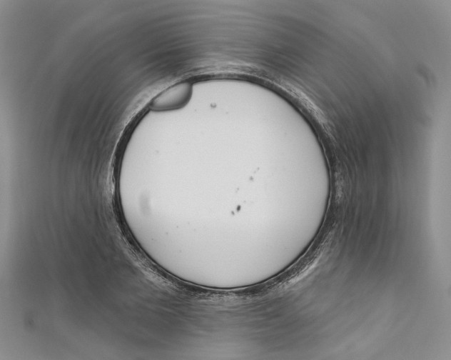 X0000110900885200907091413