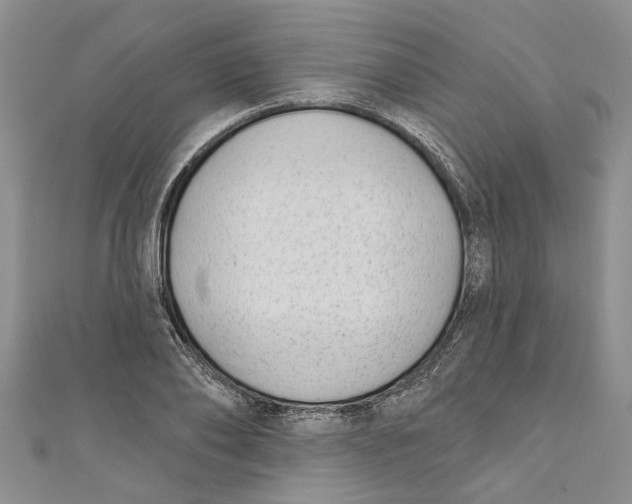 X0000110900886200907091413