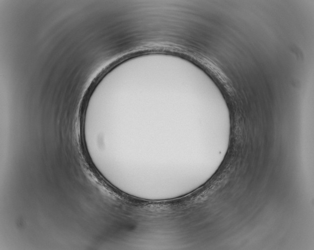 X0000110900888200907091413