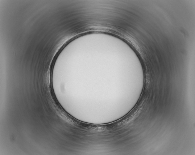 X0000110900891200907091413