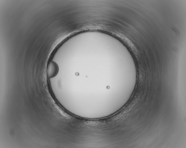 X0000110900894200907091413