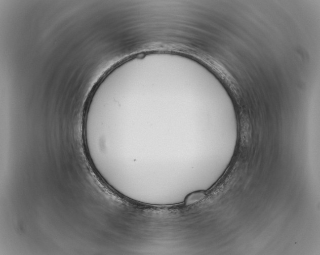 X0000110900896200907091413