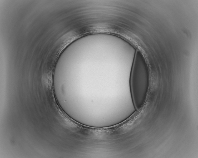 X0000110900897200907091413