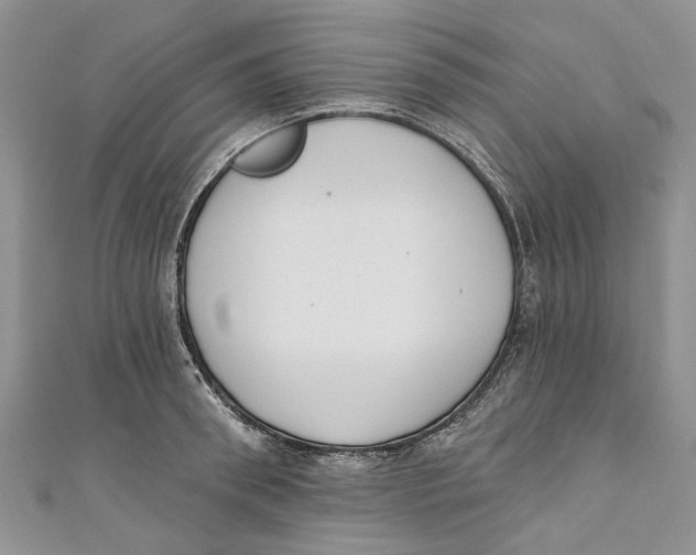 X0000110900898200907091413