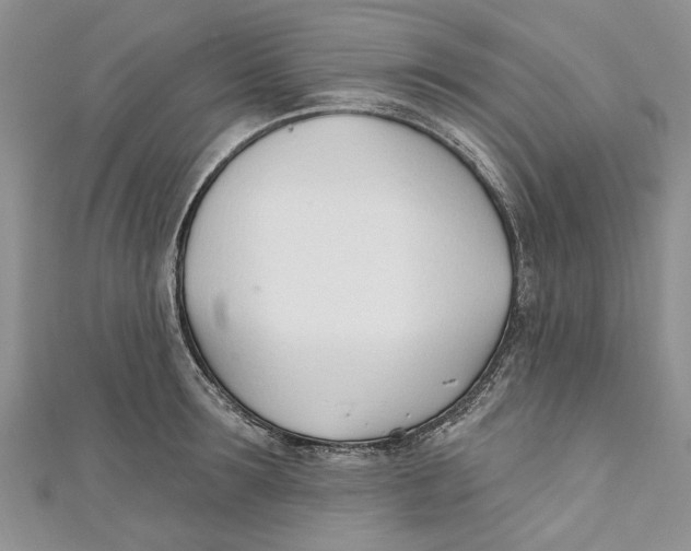 X0000110900899200907091413