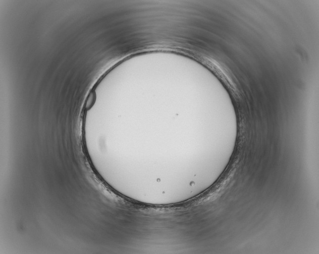 X0000110900900200907091413