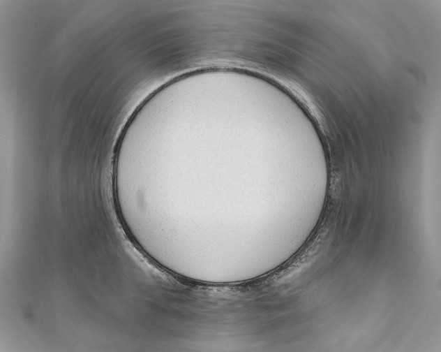 X0000110900903200907091413