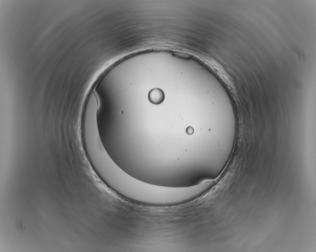 X0000110900904200907091413