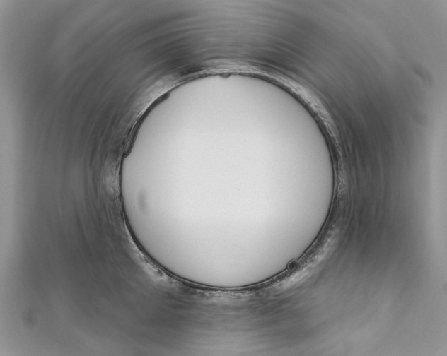 X0000110900905200907091413