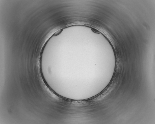 X0000110900906200907091413