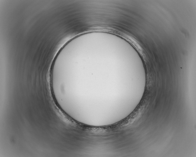 X0000110900907200907091413