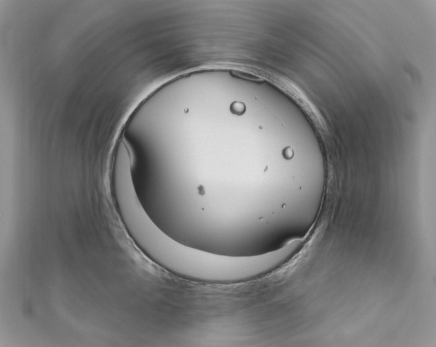 X0000110900908200907091413