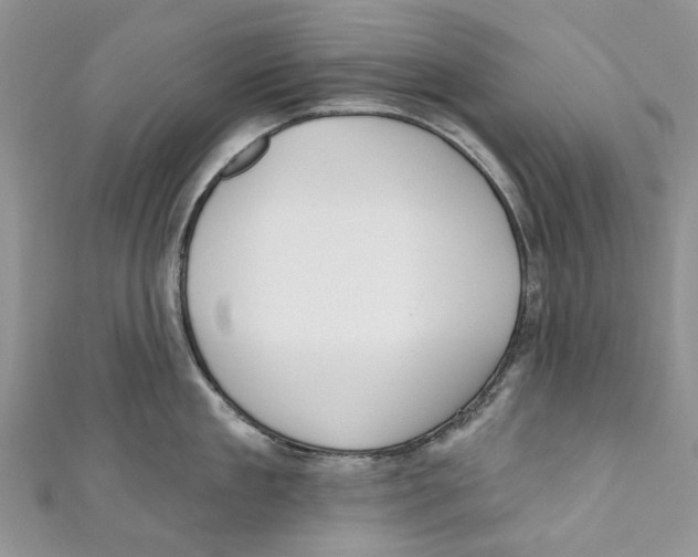 X0000110900909200907091413