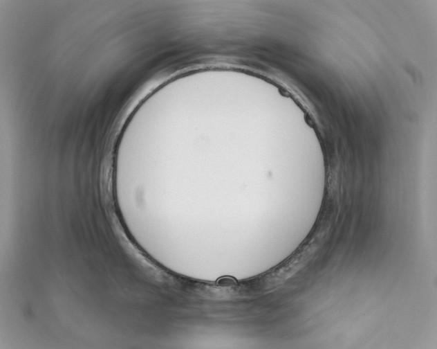 X0000110900911200907091413