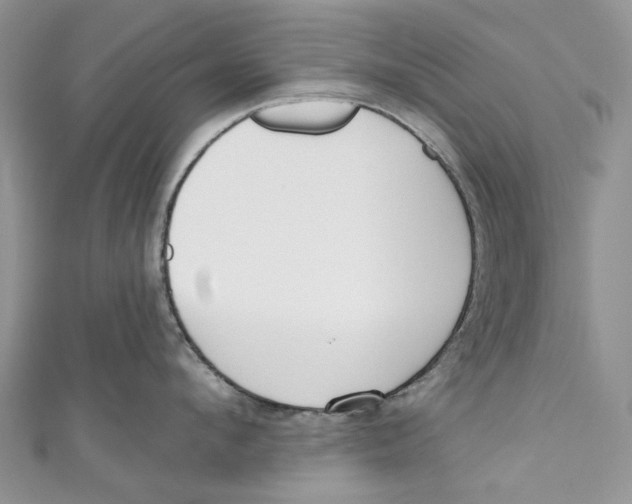 X0000110900912200907091413