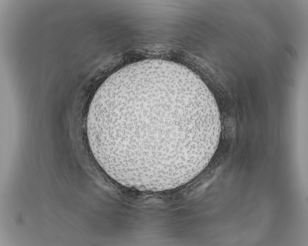 X0000110900913200907091412