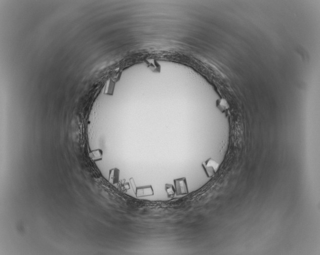 X0000110900917200907091412