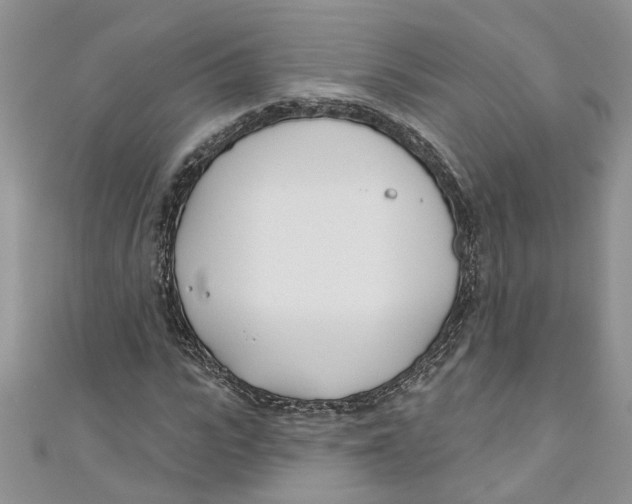 X0000110900919200907091412