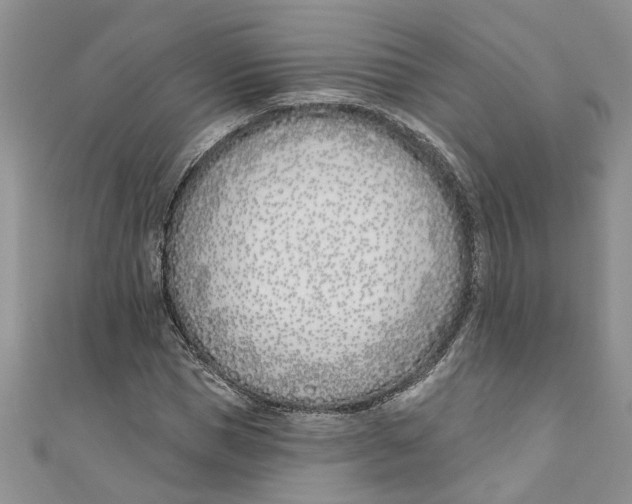 X0000110900921200907091412