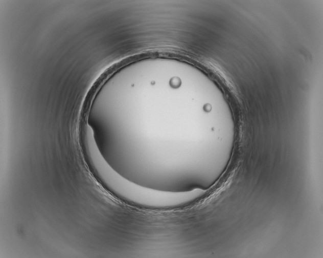 X0000110900924200907091412