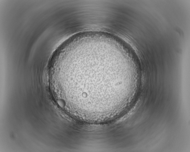 X0000110900925200907091412