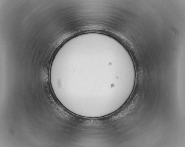 X0000110900929200907091413