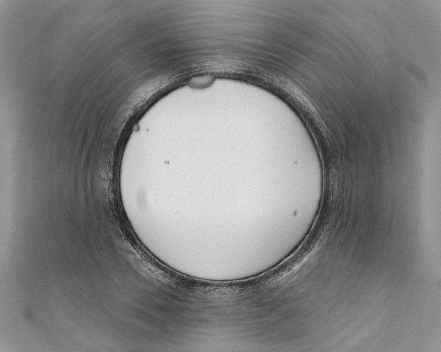 X0000110900930200907091413