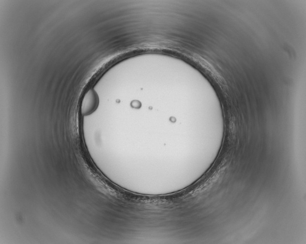 X0000110900934200907091413