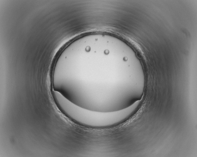 X0000110900936200907091413