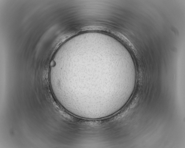 X0000110900937200907091413